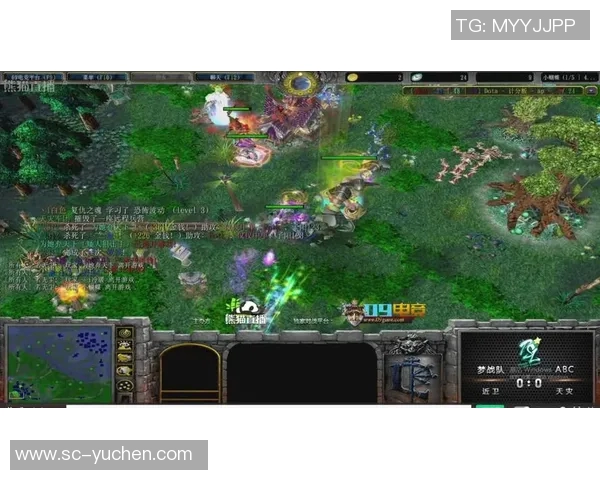 dota熊猫杯比赛结果-Dota熊猫杯比赛结果揭晓，精彩对决引发狂热欢呼-dota熊猫杯比赛结果