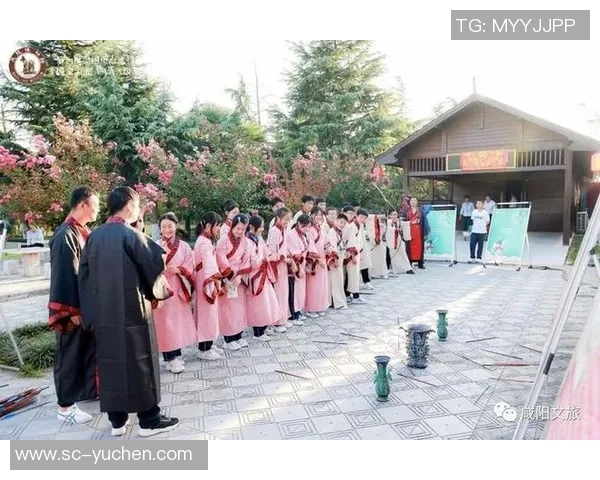 汉宫比赛视频-汉宫比赛视频，重温古代文化盛宴的现代体验-汉宫比赛视频